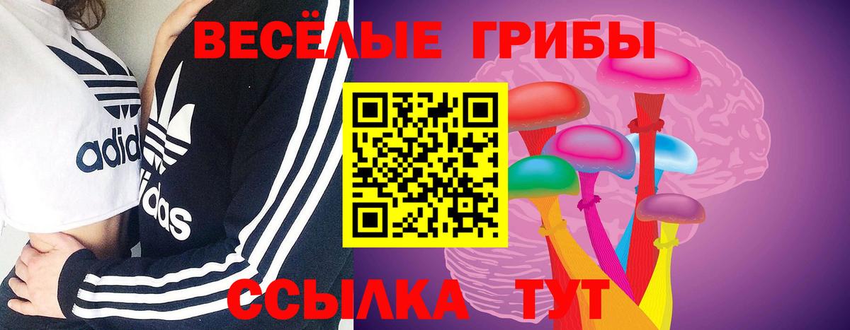 Галлюциногенные грибы MAGIC MUSHROOMS  Вход с VPN  Назарово 